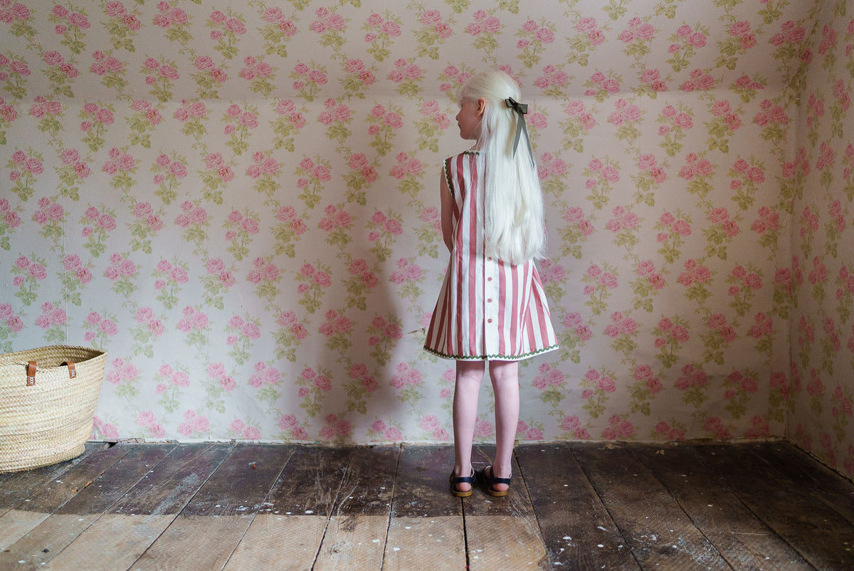 Little Cotton Clothes / Hannah Dress Raspberry Stripe
